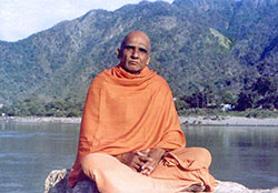 Swami Krishnananda — photo 10