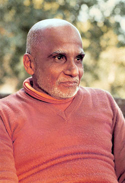 Swami Krishnananda — photo 19