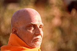 Swami Krishnananda — photo 21