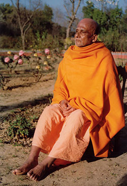 Swami Krishnananda — photo 22