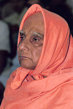 Swami Krishnananda — photo 28