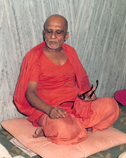 Swami Krishnananda — photo 12