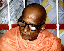 Swami Krishnananda — photo 25